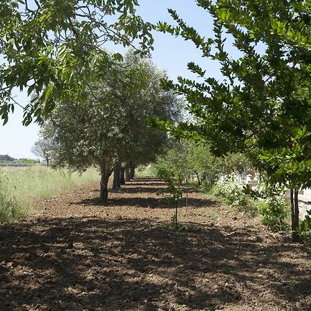 Villa Urso Bedwine Monteroni di Lecce Exteriér fotografie