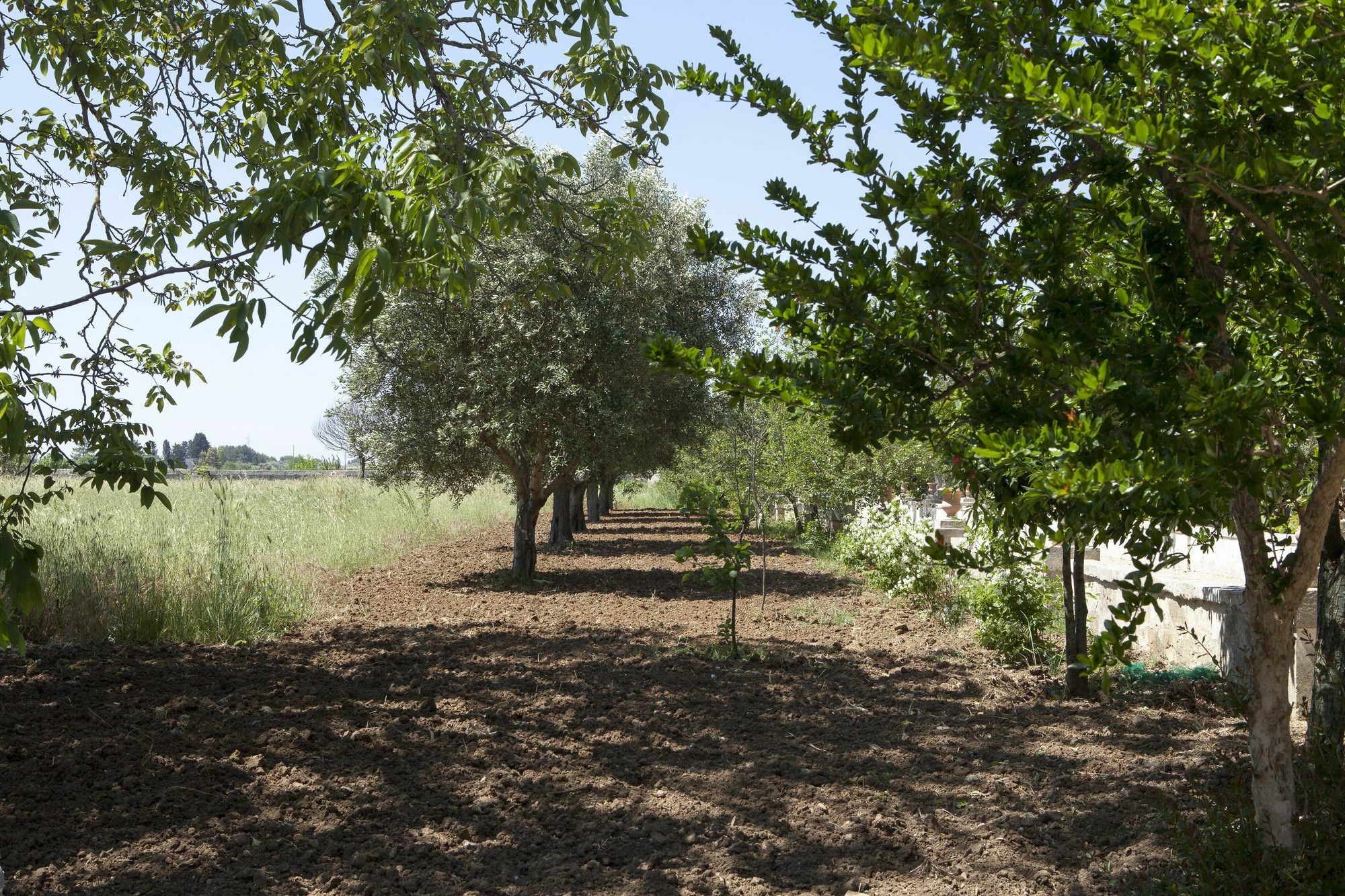 Villa Urso Bedwine Monteroni di Lecce Exteriér fotografie